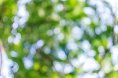 Gündoğumu backgroud bokeh ışığı 