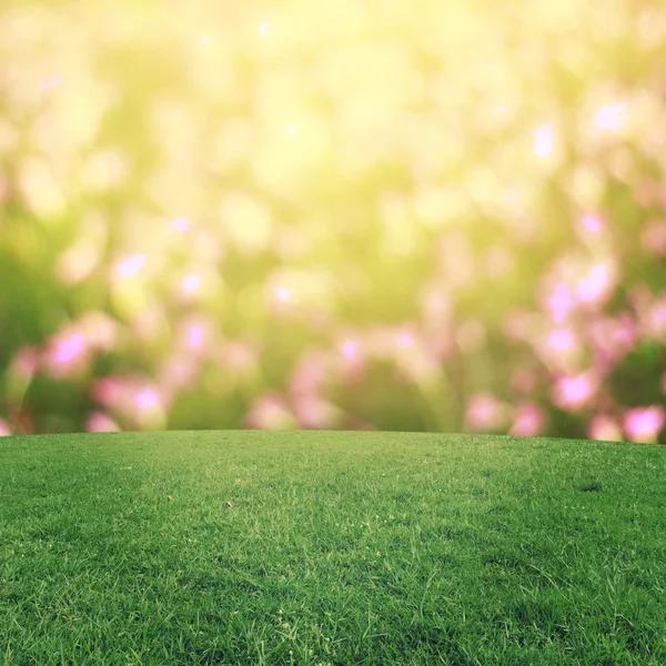 Bokeh ve arka plan üzerinde çim