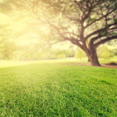 Arka Park vintage tarzı rötuş