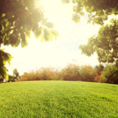 Arka Park vintage tarzı rötuş