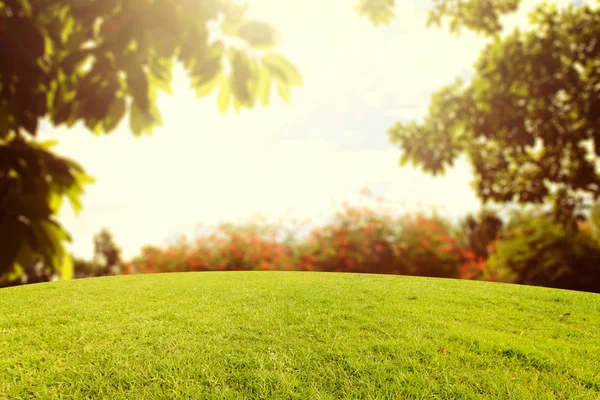 Arka Park vintage tarzı rötuş