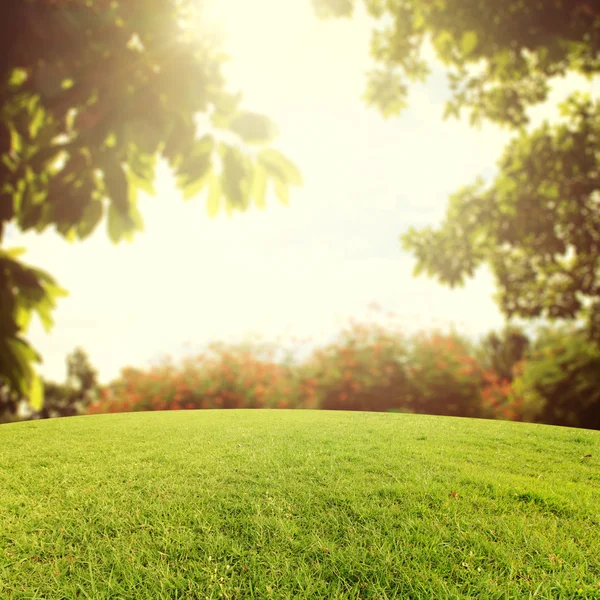 Arka Park vintage tarzı rötuş