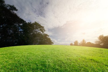Landscap gökyüzü ve çim zemin üzerine günbatımı