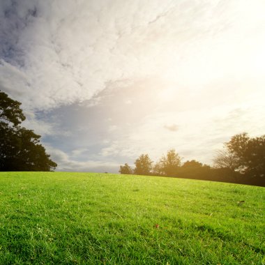 Landscap gökyüzü ve çim zemin üzerine günbatımı