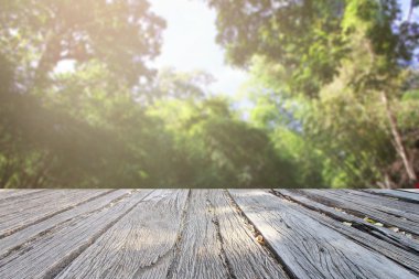 Landscap arka plan rötuş ormandaki vintage tarzı