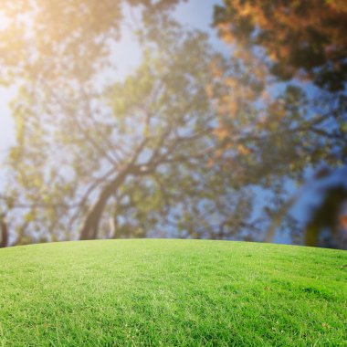 Landscap arka plan rötuş ormandaki vintage tarzı