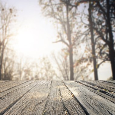 Landscap arka plan rötuş ormandaki vintage tarzı