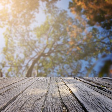 Landscap arka plan rötuş ormandaki vintage tarzı