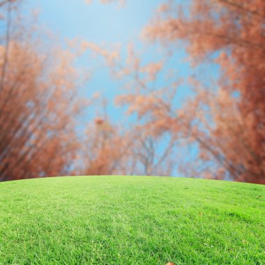 Landscap arka plan rötuş ormandaki vintage tarzı