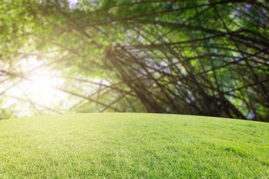 Landscap arka plan rötuş ormandaki vintage tarzı