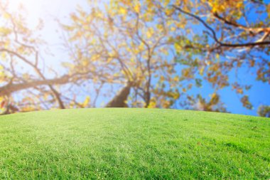 Landscap arka plan rötuş ormandaki vintage tarzı