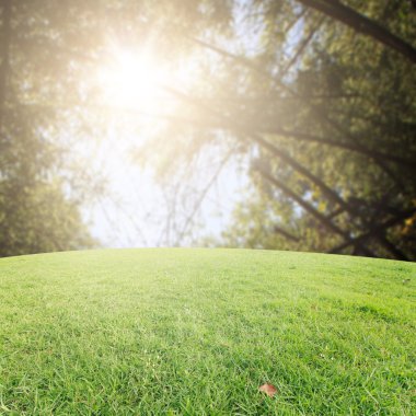 Landscap arka plan rötuş ormandaki vintage tarzı