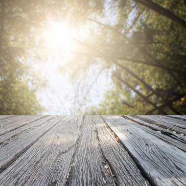 Landscap arka plan rötuş ormandaki vintage tarzı