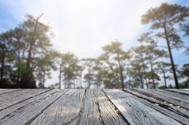 Landscap arka plan rötuş doğada vintage tarzı
