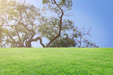 Landscap arka plan rötuş doğada vintage tarzı