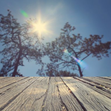Landscap arka plan rötuş doğada vintage tarzı