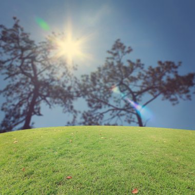 Landscap arka plan rötuş doğada vintage tarzı