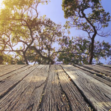 Landscap arka plan rötuş doğada vintage tarzı