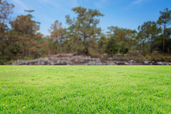 The landscap background retouch vintage style in nature