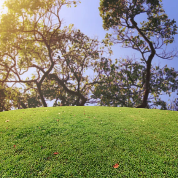 Landscap arka plan rötuş doğada vintage tarzı