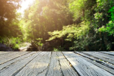 Landscap arka plan rötuş doğada vintage tarzı