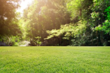 Landscap arka plan rötuş doğada vintage tarzı