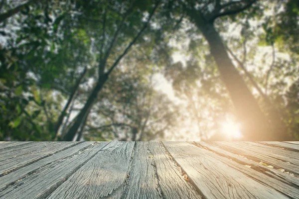 El fondo Landscap retoque estilo vintage en la naturaleza — Foto de Stock