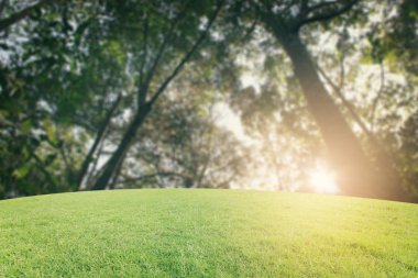 Landscap arka plan rötuş doğada vintage tarzı