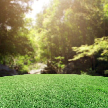 Landscap arka plan rötuş doğada vintage tarzı