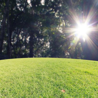 Landscap arka plan rötuş doğada vintage tarzı