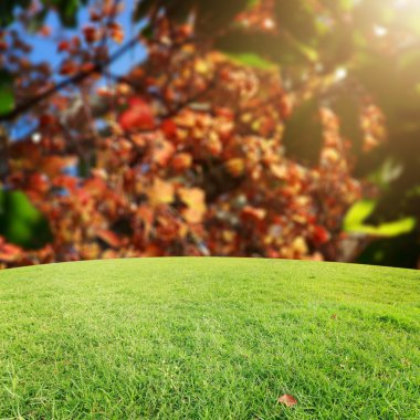 Landscap arka plan rötuş doğada vintage tarzı