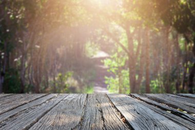 Landscap arka plan rötuş doğada vintage tarzı