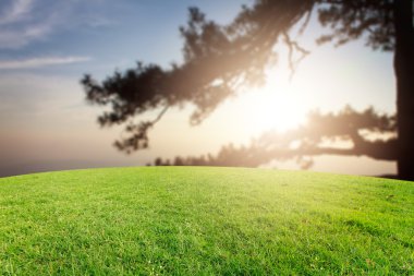 Landscap arka plan rötuş doğada vintage tarzı