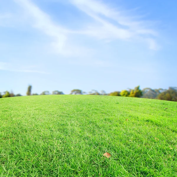 De achtergrond dan retoucheren vintage stijl in de natuur — Stockfoto