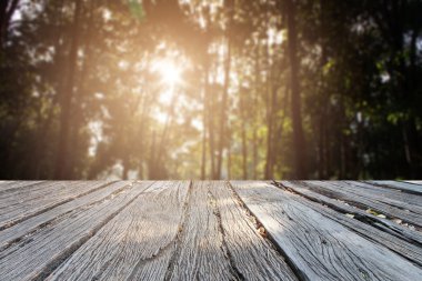 Landscap arka plan rötuş doğada vintage tarzı