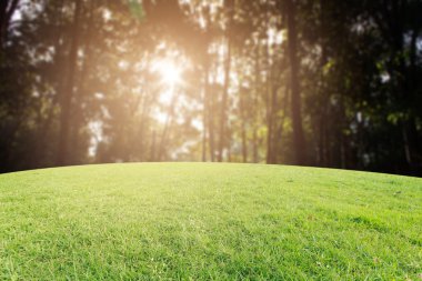 Landscap arka plan rötuş doğada vintage tarzı