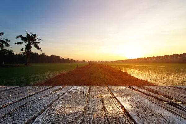 Der Landschaftshintergrund retuschieren in Fram — Stockfoto