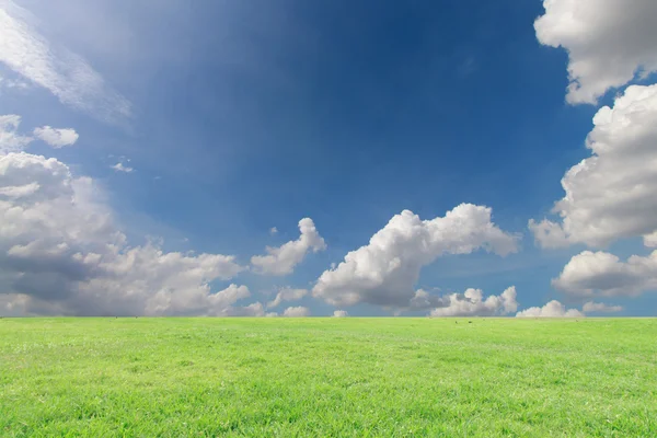 stock image The landscapes background blue sky with clouds retouch