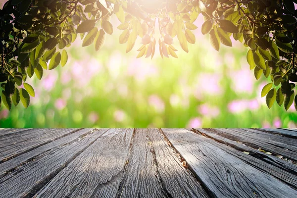 Bokeh ve çim arka plan üzerinde rötuş