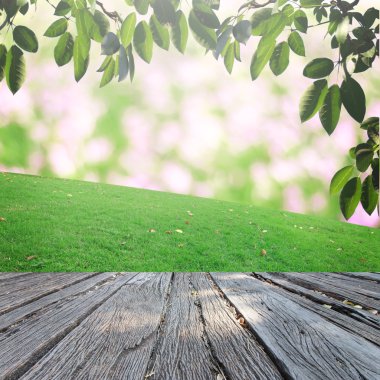 Bokeh ve çim arka plan üzerinde rötuş