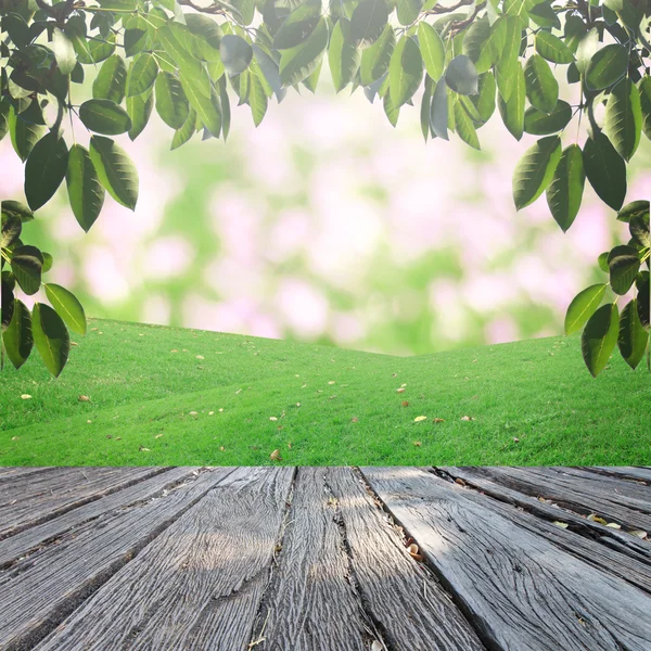 Bokeh ve çim arka plan üzerinde rötuş