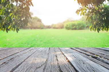 Landscap gökyüzü ve çim üzerinde arka plan rötuş