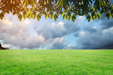 Landscap gökyüzü ve çim üzerinde arka plan rötuş