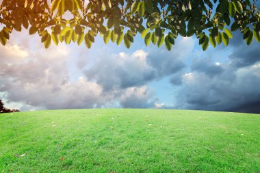 Landscap gökyüzü ve çim üzerinde arka plan rötuş