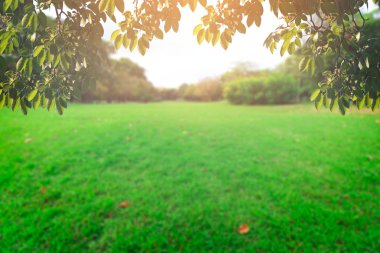 Landscap gökyüzü ve çim üzerinde arka plan rötuş