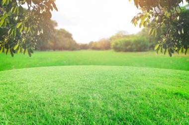 Landscap gökyüzü ve çim üzerinde arka plan rötuş