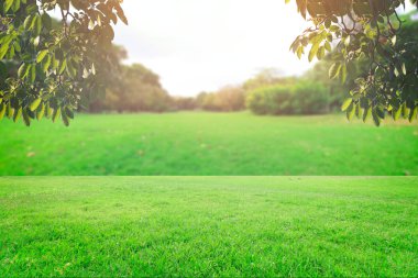 Landscap gökyüzü ve çim üzerinde arka plan rötuş