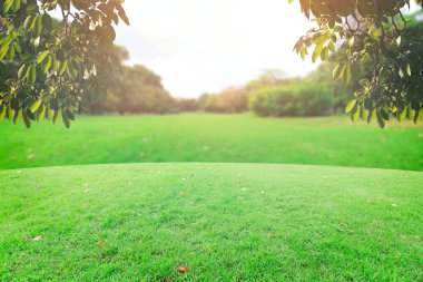 Landscap gökyüzü ve çim üzerinde arka plan rötuş