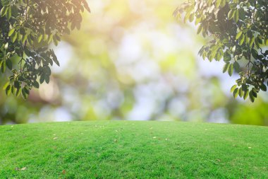 Bokeh ve çim arka plan üzerinde rötuş