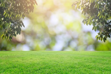 Bokeh ve çim arka plan üzerinde rötuş